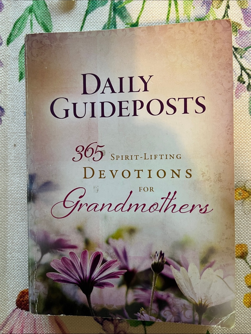365 Spirit-Lifting Devotions for Grandmothers